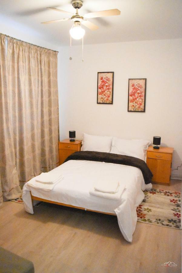 Spacious And Cozy 3Bd+Terrace Couples Apartment Timisoara Ngoại thất bức ảnh
