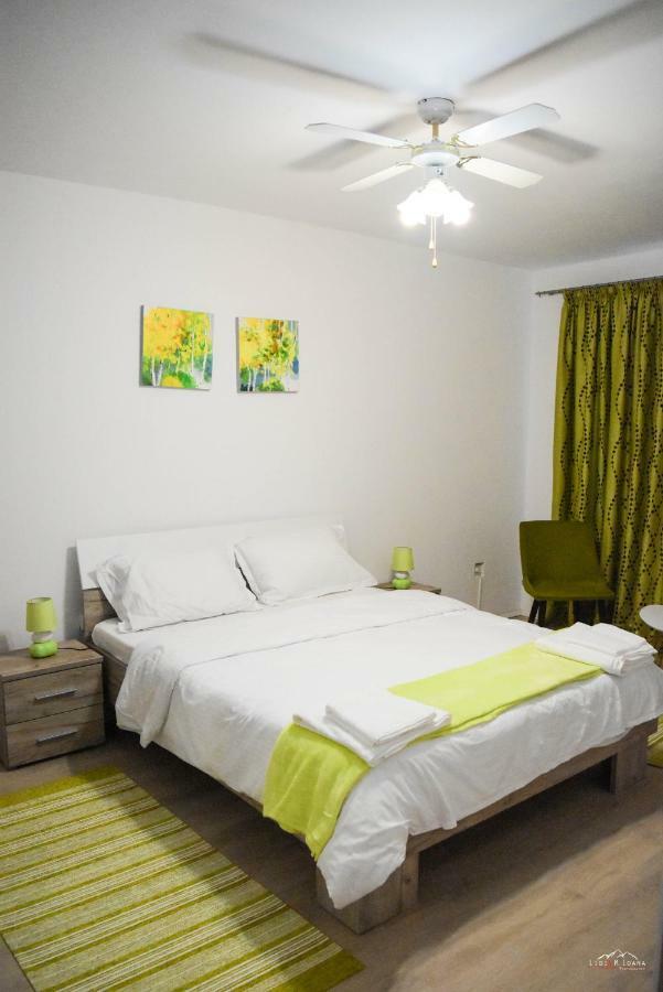 Spacious And Cozy 3Bd+Terrace Couples Apartment Timisoara Ngoại thất bức ảnh