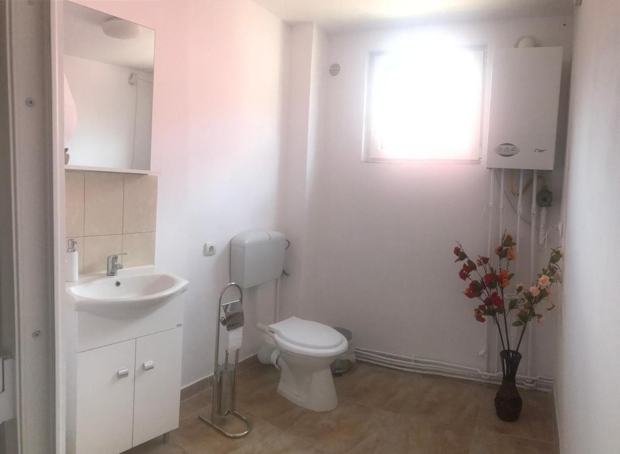 Spacious And Cozy 3Bd+Terrace Couples Apartment Timisoara Ngoại thất bức ảnh
